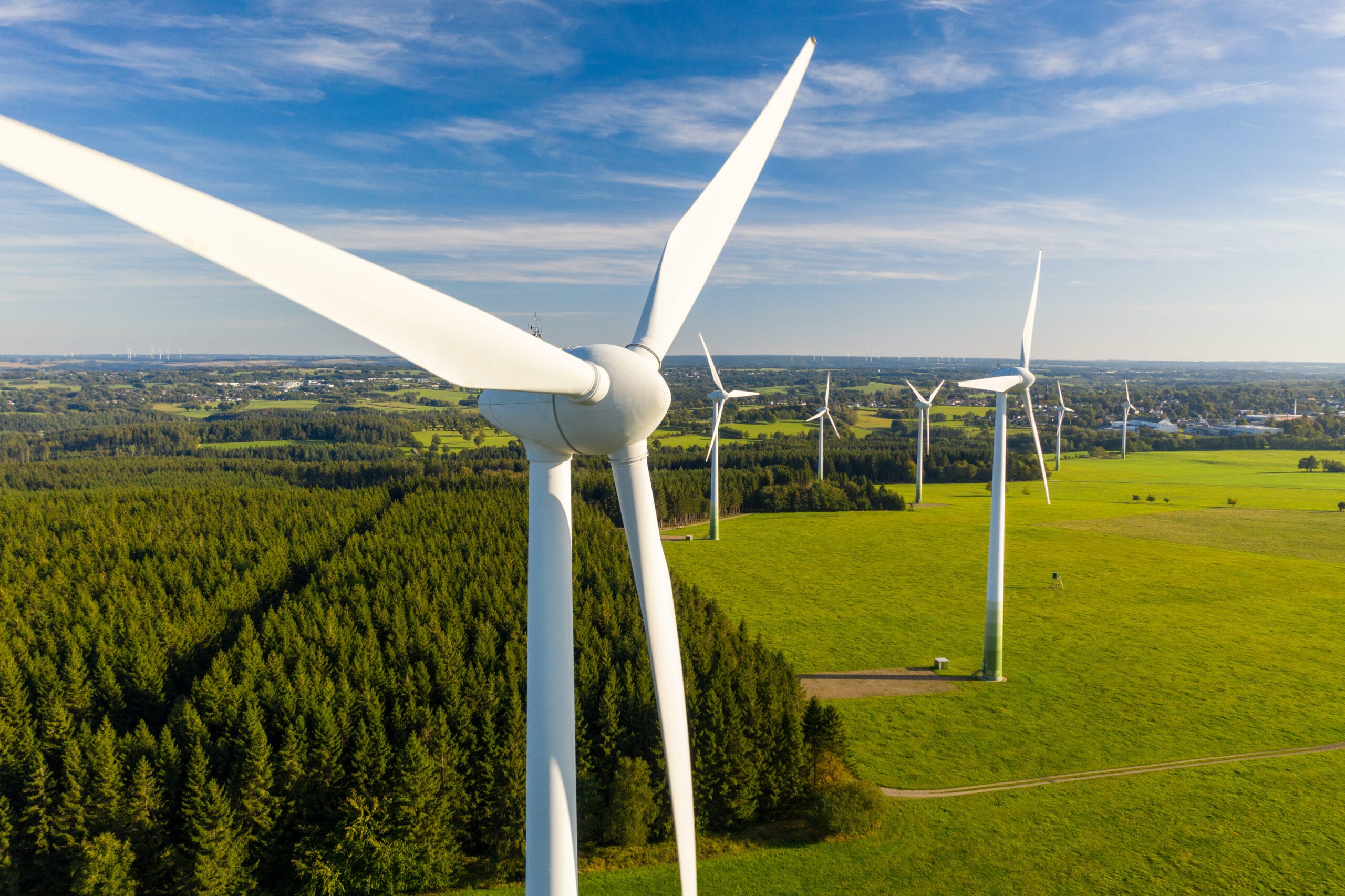 wind turbines in a field
